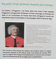 La fraise arrive a Lyon (1).jpg